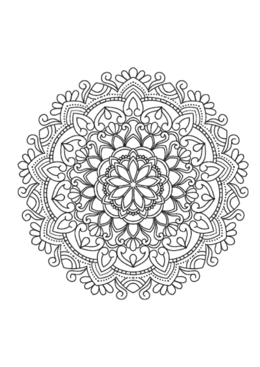 Libro Mandalas Botanica Sagrada 3